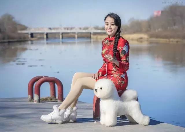 犬舍看点 | 最爱那棉花糖的温柔-1.jpeg
