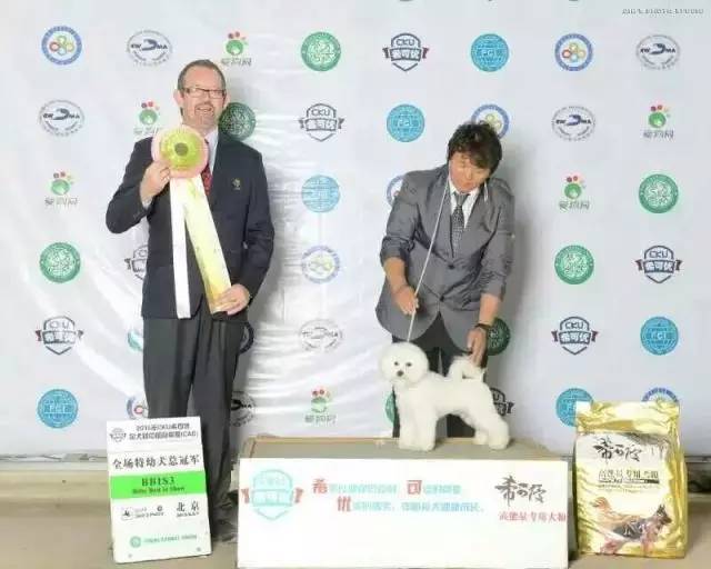 犬舍看点 | 最爱那棉花糖的温柔-5.jpeg