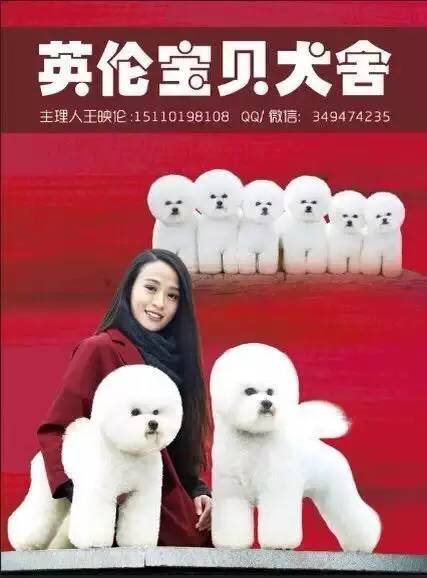 犬舍看点 | 最爱那棉花糖的温柔-9.jpeg