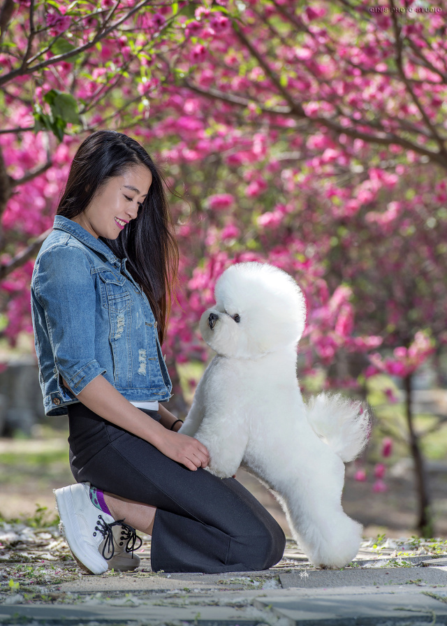 犬舍看点 | 最爱那棉花糖的温柔-7.jpg