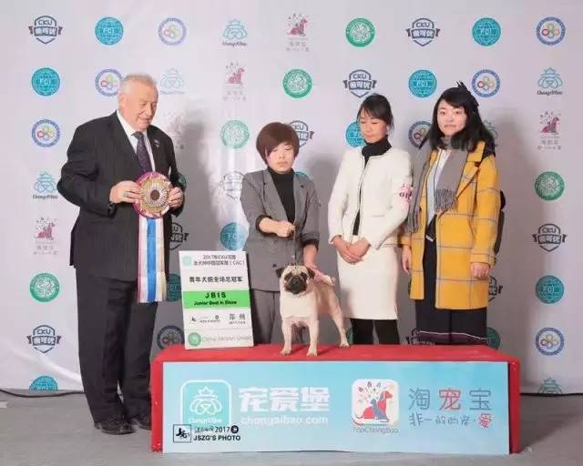 犬舍看点 | 繁殖萨摩耶的犬舍-7.jpeg