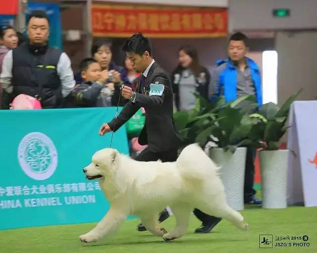 五星的魅力 | 无论走多远，都不要忘记为什么出发-7.jpeg