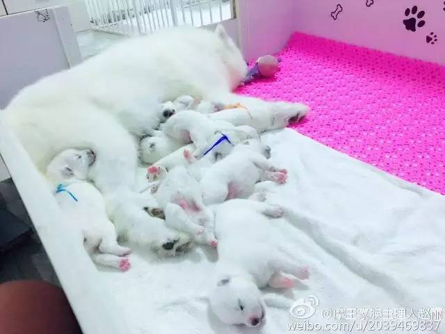 五星的魅力 | 无论走多远，都不要忘记为什么出发-19.jpeg
