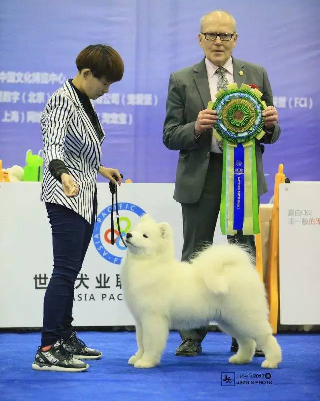 五星的魅力 | 无论走多远，都不要忘记为什么出发-31.jpeg