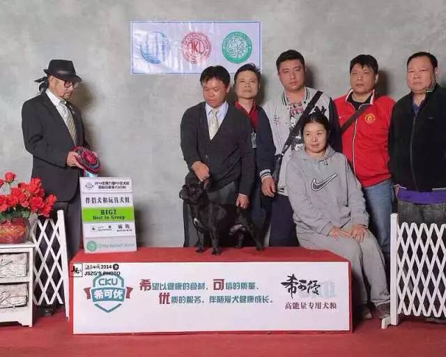 犬舍看点 | 繁殖法国斗牛犬的犬舍-3.jpeg