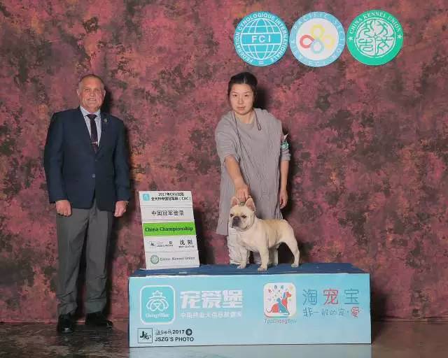 犬舍看点 | 繁殖法国斗牛犬的犬舍-4.jpeg
