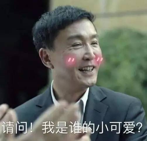 放飞自我后的郑爽如何培养出了冠军犬？-3.jpeg