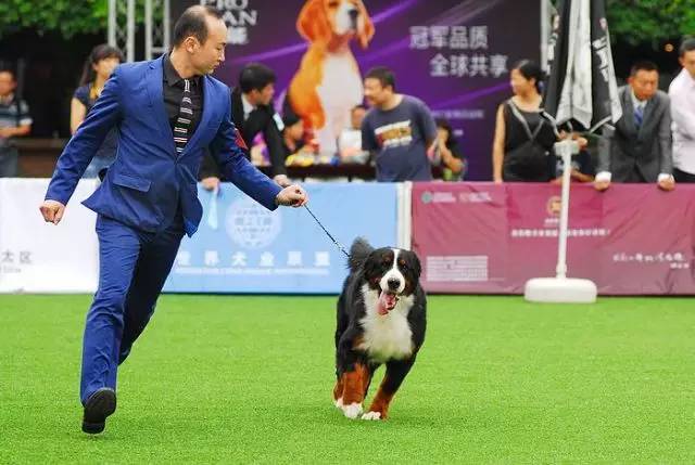 五星的魅力 | 港人的坚守-5.jpeg