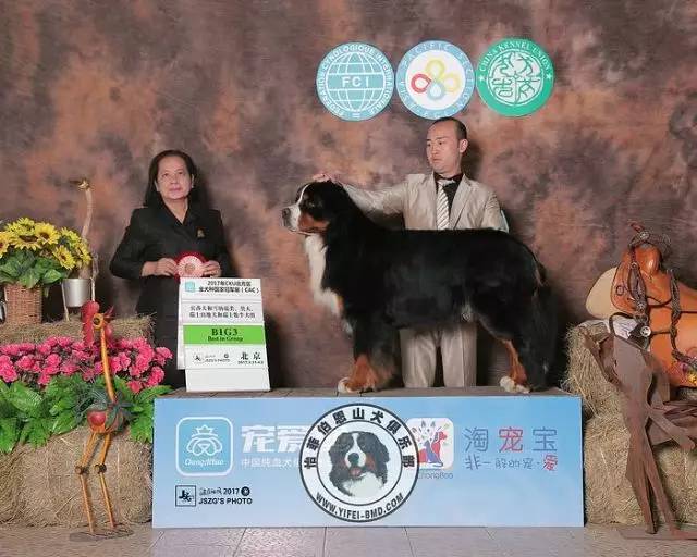 五星的魅力 | 港人的坚守-21.jpeg