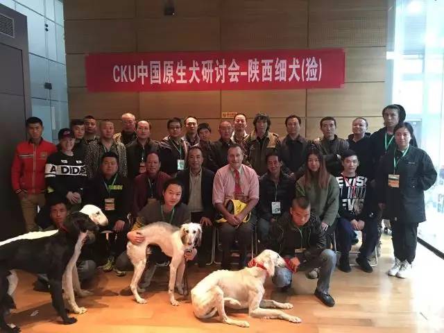 优雅迷人、不可方物的中国原生犬，认识吗？-5.jpeg