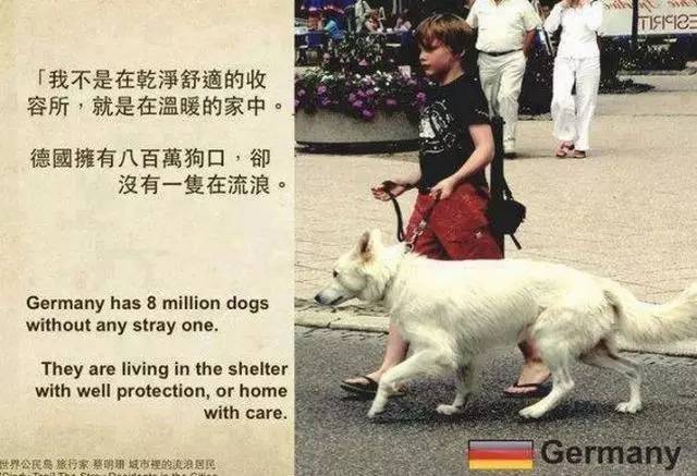 国外的“狗权”比较圆？告诉你国内外养犬真相-12.jpg