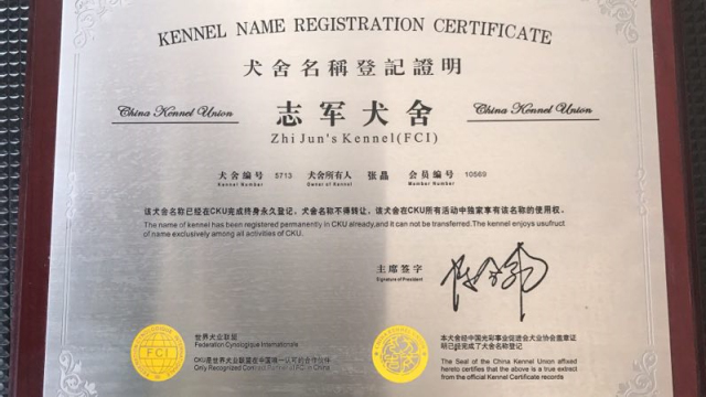 五星的魅力 | 从欣赏到迷恋，由追求到专业-3.jpg