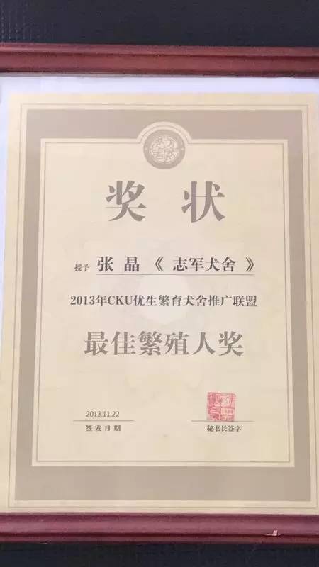 五星的魅力 | 从欣赏到迷恋，由追求到专业-5.jpg