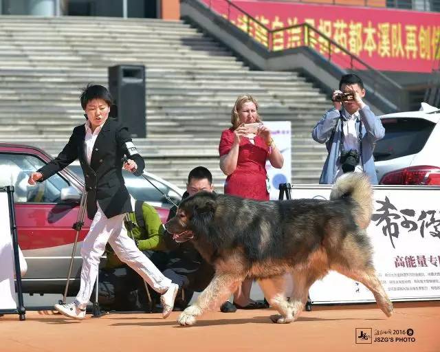 五星的魅力 | 从欣赏到迷恋，由追求到专业-9.jpg