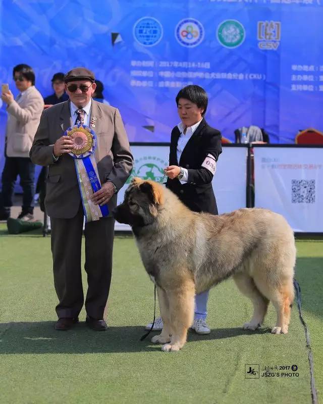 五星的魅力 | 从欣赏到迷恋，由追求到专业-11.jpg
