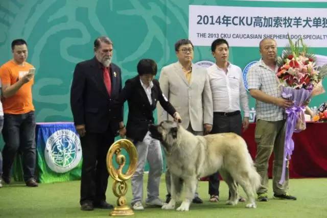 五星的魅力 | 从欣赏到迷恋，由追求到专业-24.jpg