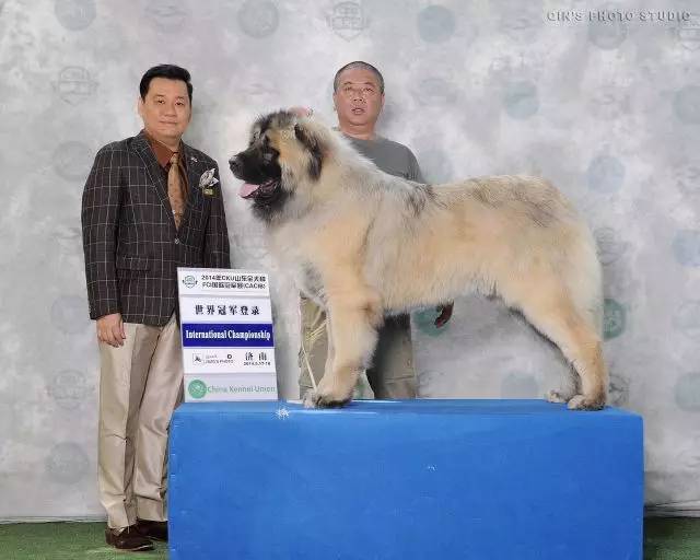 五星的魅力 | 从欣赏到迷恋，由追求到专业-28.jpg