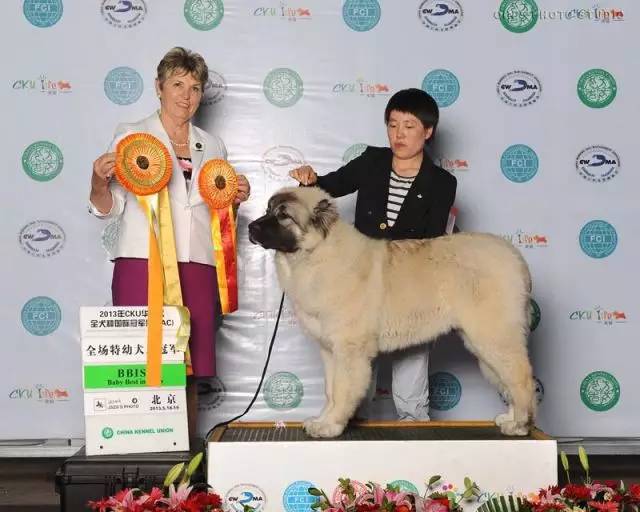五星的魅力 | 从欣赏到迷恋，由追求到专业-26.jpg
