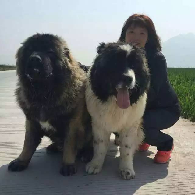 五星的魅力 | 从欣赏到迷恋，由追求到专业-30.jpg