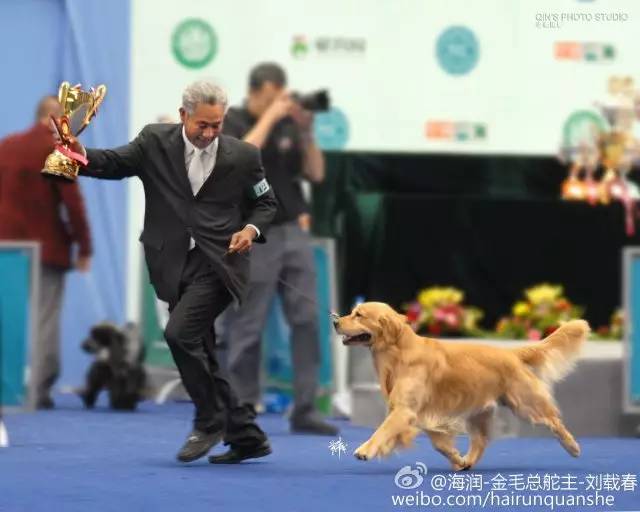 R.I.P. | 天使回家，一路走好！-8.jpg