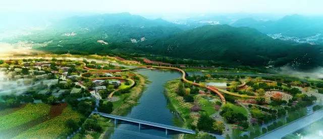 动物福利三把火：文化、标准和情怀-8.jpg