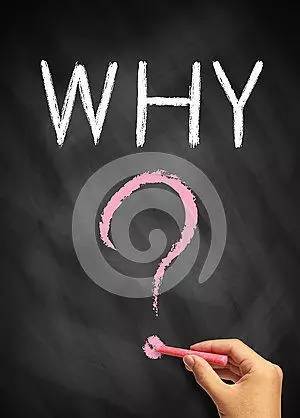是什么让他花了6倍价格买了一只狗？-8.jpg