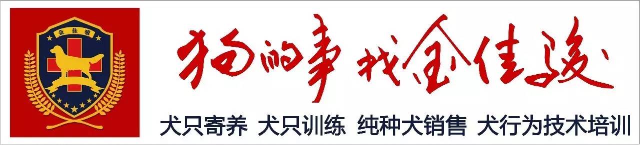“人犬合一”之修炼历程——首届中国牵犬师职涯培训课程招生通知-1.jpg
