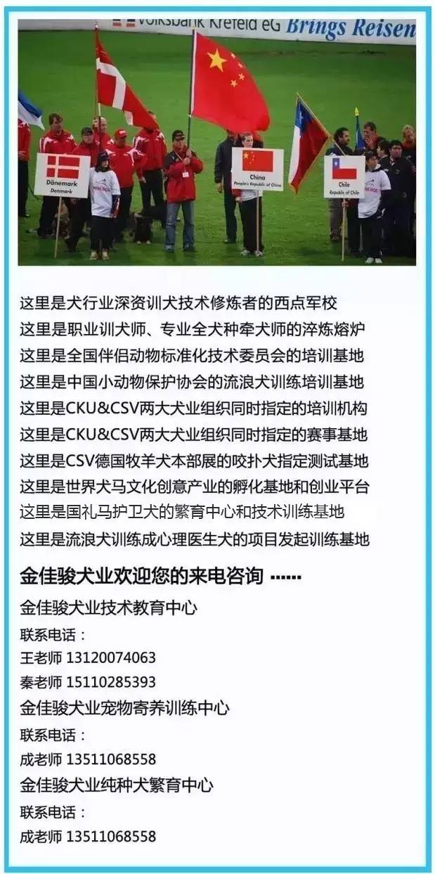 “人犬合一”之修炼历程——首届中国牵犬师职涯培训课程招生通知-4.jpg