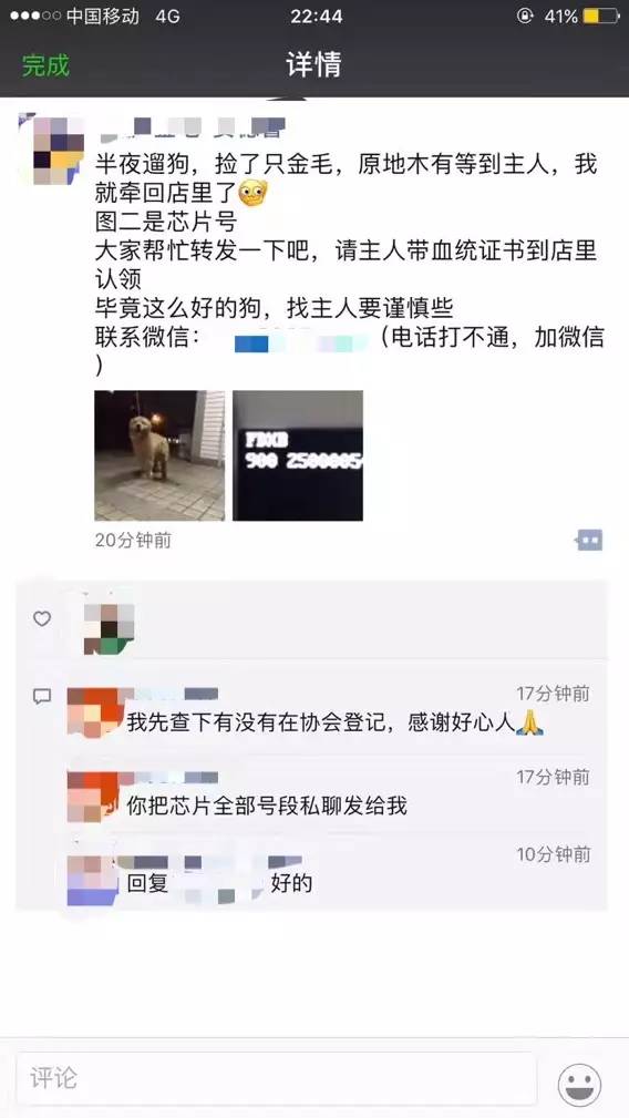这个故事告诉我们，一只狗狗有芯片是有多重要？-3.jpg