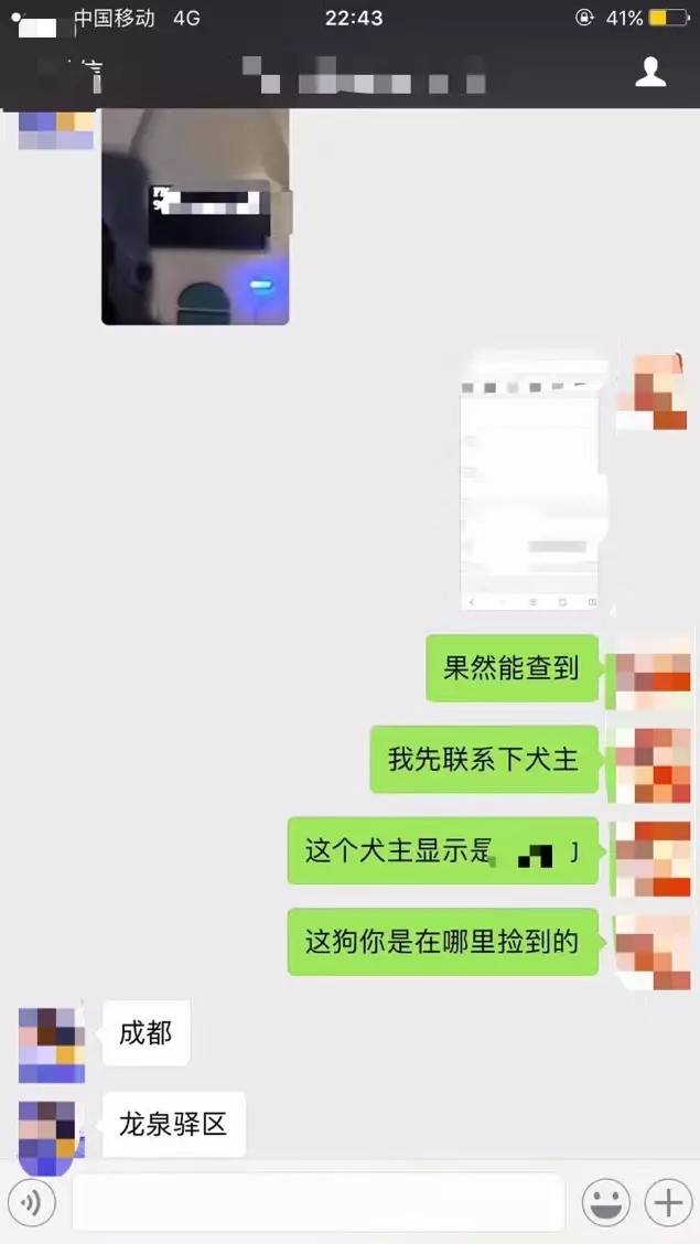 这个故事告诉我们，一只狗狗有芯片是有多重要？-4.jpg