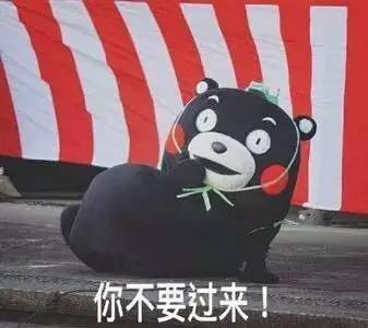 这个故事告诉我们，一只狗狗有芯片是有多重要？-7.jpg