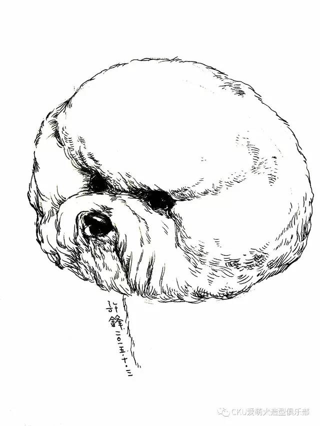 生活不止眼前的苟且，还有动人的狗画 | CKU爱萌犬-1.jpg