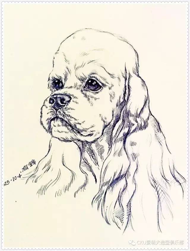 生活不止眼前的苟且，还有动人的狗画 | CKU爱萌犬-2.jpg