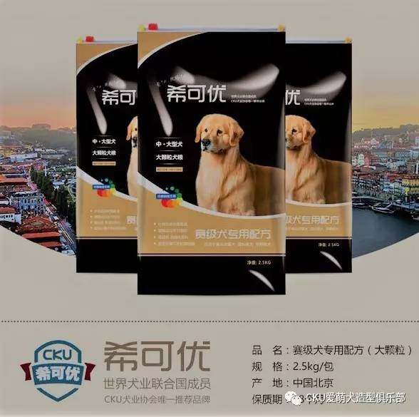 生活不止眼前的苟且，还有动人的狗画 | CKU爱萌犬-7.jpg