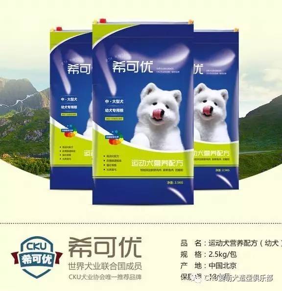 生活不止眼前的苟且，还有动人的狗画 | CKU爱萌犬-8.jpg