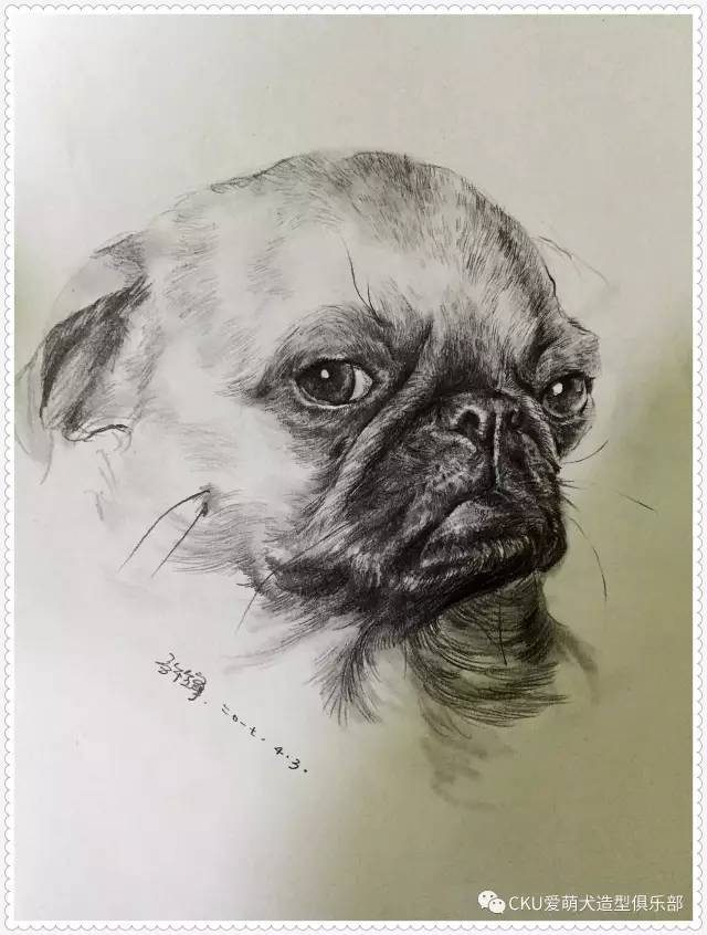 生活不止眼前的苟且，还有动人的狗画 | CKU爱萌犬-9.jpg