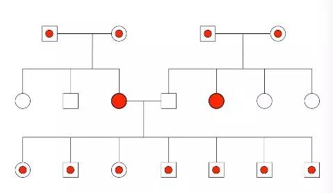 研究血统都研究些啥？-6.jpg