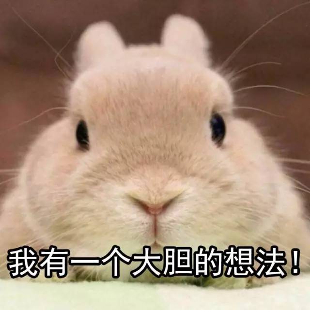 你知道有多少内容等着上CKU官网吗？官网都放不下了……-2.jpg