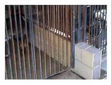 带你参观我那占地230亩的犬舍-10.jpg