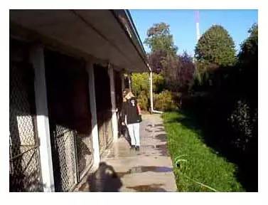 带你参观我那占地230亩的犬舍-4.jpg