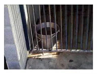 带你参观我那占地230亩的犬舍-11.jpg