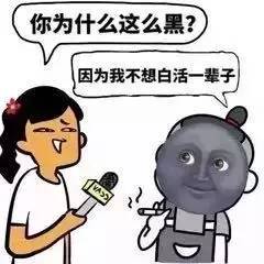美国犬展火了的狗，英国人为啥疯狂吐槽…-14.jpg