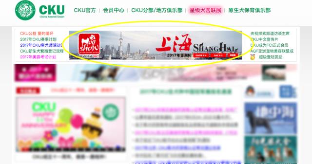 2017年亚洲杯报名通道全面开启 | 进击吧！-4.jpg