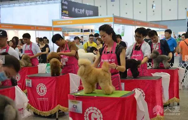 2017亚洲杯犬展购票指南来啦-9.jpg