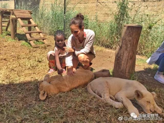 看完《战狼2》，我竟然觉得自己不如一只狗……-7.jpg