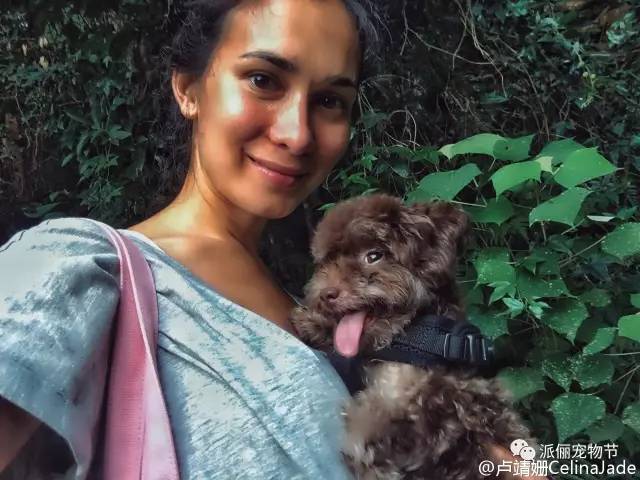 看完《战狼2》，我竟然觉得自己不如一只狗……-11.jpg