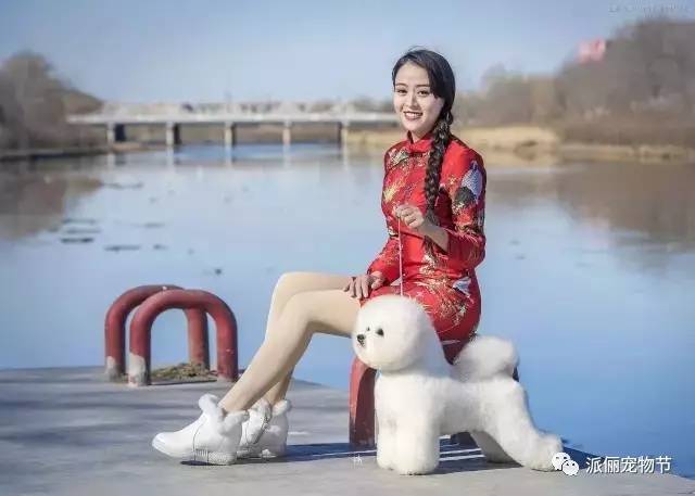 看完《战狼2》，我竟然觉得自己不如一只狗……-21.jpg