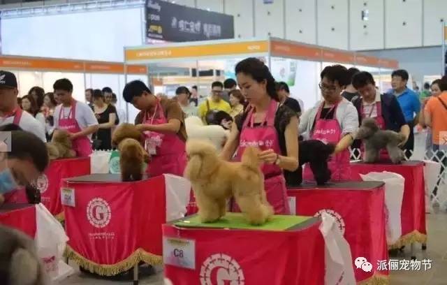 看完《战狼2》，我竟然觉得自己不如一只狗……-25.jpg