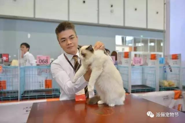 看完《战狼2》，我竟然觉得自己不如一只狗……-26.jpg
