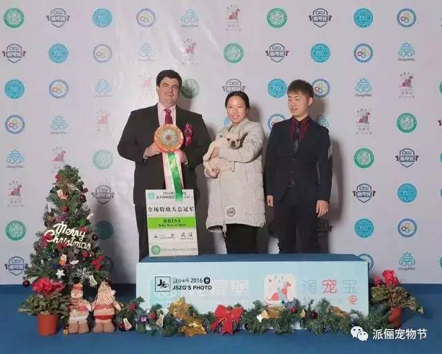 看完《战狼2》，我竟然觉得自己不如一只狗……-23.jpg